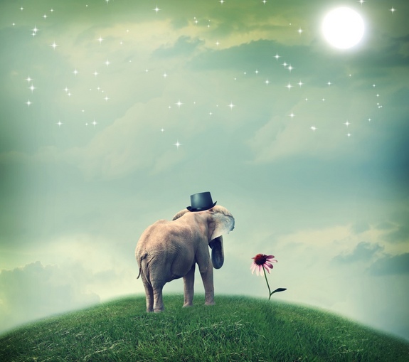 Surrealistic elephant with a hat staring at a flower.